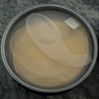Fivewan 24K Gold Eye Treatment Mask 60 Pieces