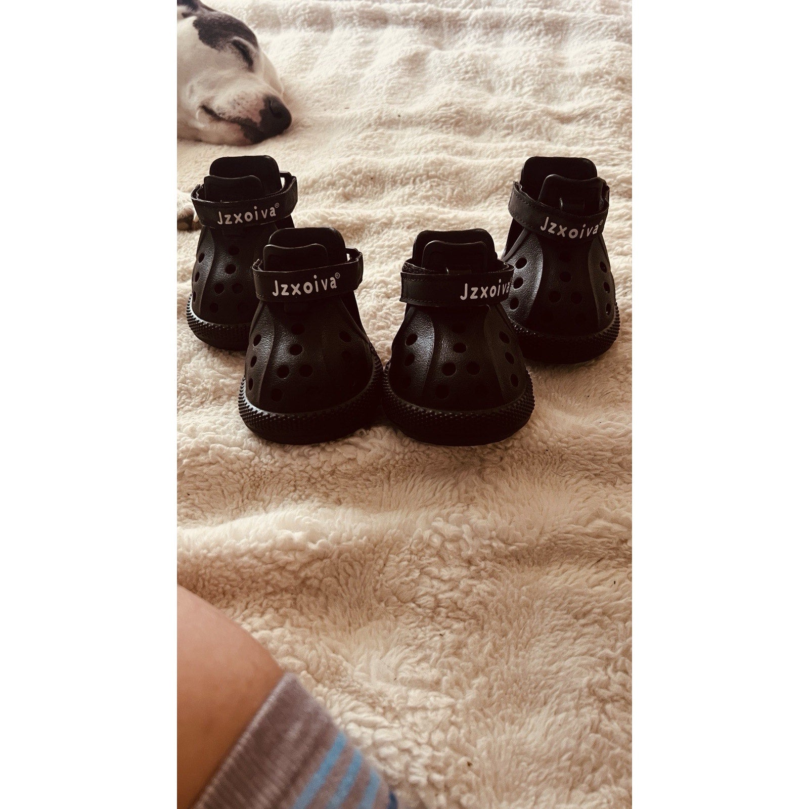 Dog Boots Anti Slip Waterproof Shoes for Hot Pavement, Breathable Black Size 6