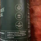 Paul Mitchell Tea Tree Special Shampoo 16.9 oz NEW - Little Cap Is Missing
